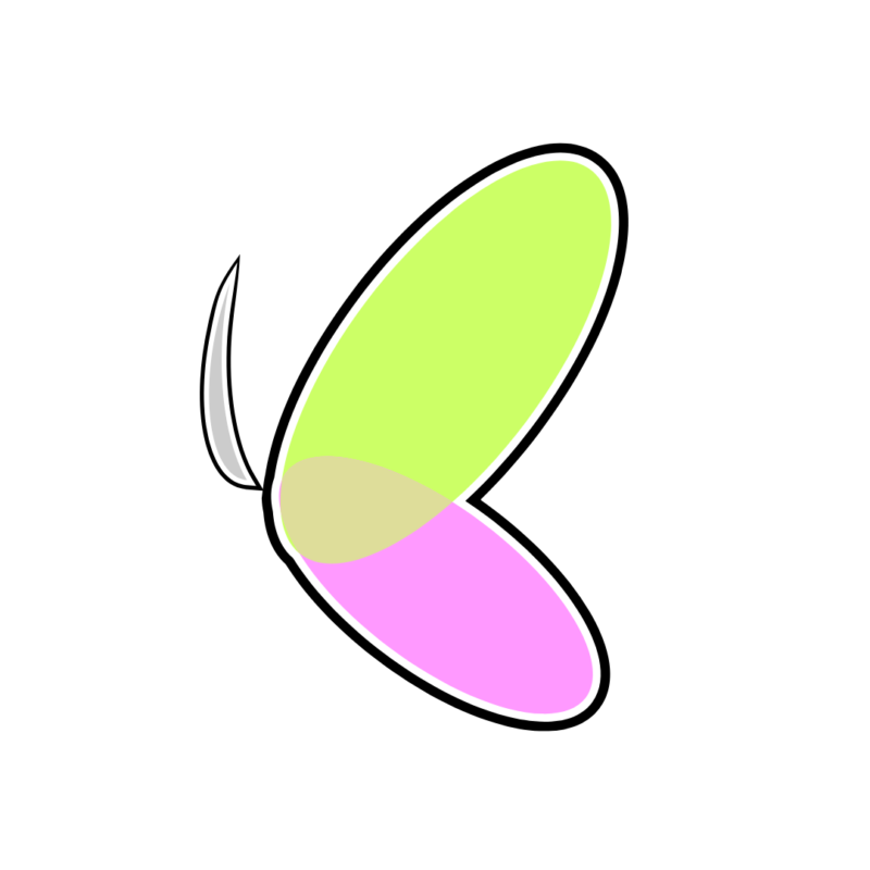 التصميم والهوية